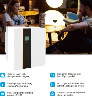 Soler Inverter Solar Home System Inverter Charger for LiFePO4 Battery