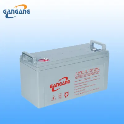 12V 112ah AGM Sealed Lead Acid UPS Battery Storage Battery Charger