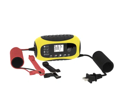 China Manufacturer 12V/24V/48V Lead Acid Battery Charger