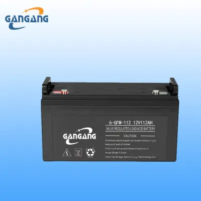 12V 112ah AGM Sealed Lead Acid UPS Battery Storage Battery Charger