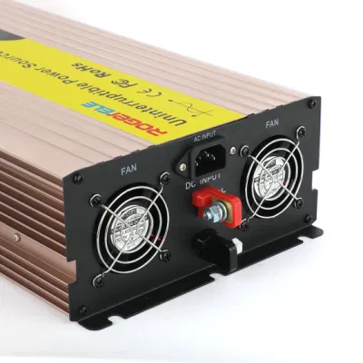 3000W 12V/24V/48V DC to AC 110V/220V UPS Power Inverter with Charger