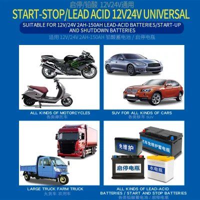Portable 12V 24V Car AGM Lead Acid Battery Charger with LCD Display