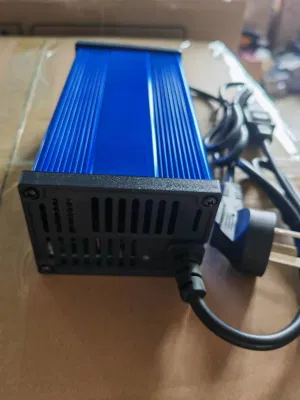 58.4V Lithium Ion Battery Charger with LED Charging Percentage Display