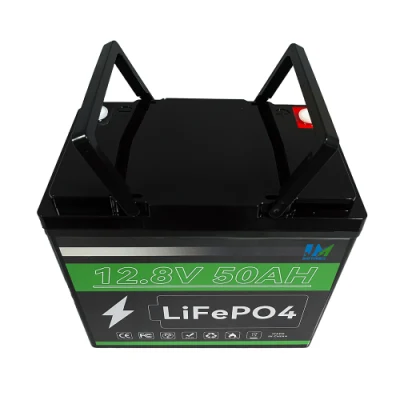 Fatory Price Rechargeable Lithium Batteries 6000 Cycle 12.8V Ion Battery Pack Solar LiFePO4 Power 24V Battery