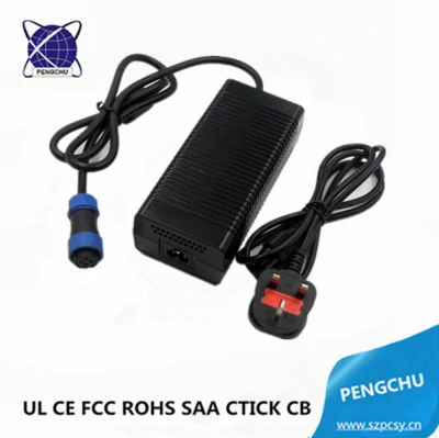Pengchu 180W 12V 15A 300W/250W/200W/180W AC/DC Desktop Battery Charger with UL CE FCC RoHS Approved
