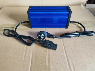 58.4V Lithium Ion Battery Charger with LED Charging Percentage Display