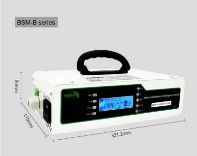 5000 cycle &nbsp;Intelligent Lithium Battery Charger For factory