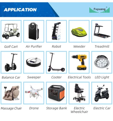  Fuyuang SAA Kc Li-ion Charger 6A 72 Volt Lithium Ion Battery Charge 48V 60V 4A 5A Electric Bike Battery Charger