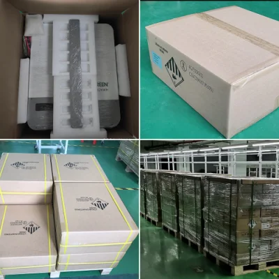 48 Volt Lithium Battery Charger 200ah 100ah in Stock