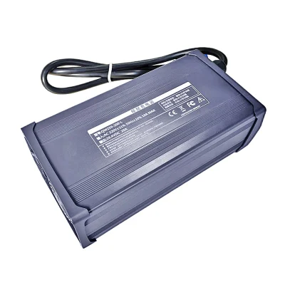 900W Canbus Charger 6s 18V 19.2V LiFePO4 Batteries Chargers 21.6V/21.9V 30A 35A 40A for New Energy Vehicles, Rvs Battery Pack