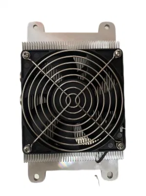 Electric E-Auto Tuk-Tuk Output 3.3kw 48V 40A Electric Battery Charger