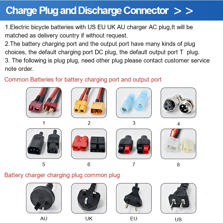 Rechargeable 36V Lithium Battery for Electric Bike with Charger and Key