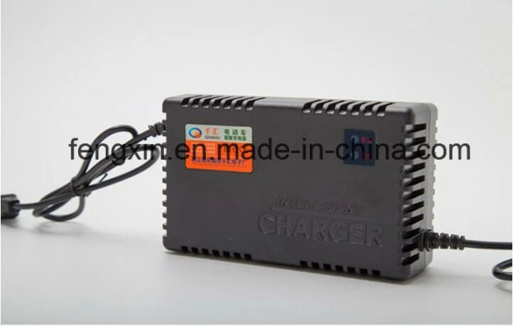 China Manufacturer 12V/24V/48V Lead Acid Battery Charger