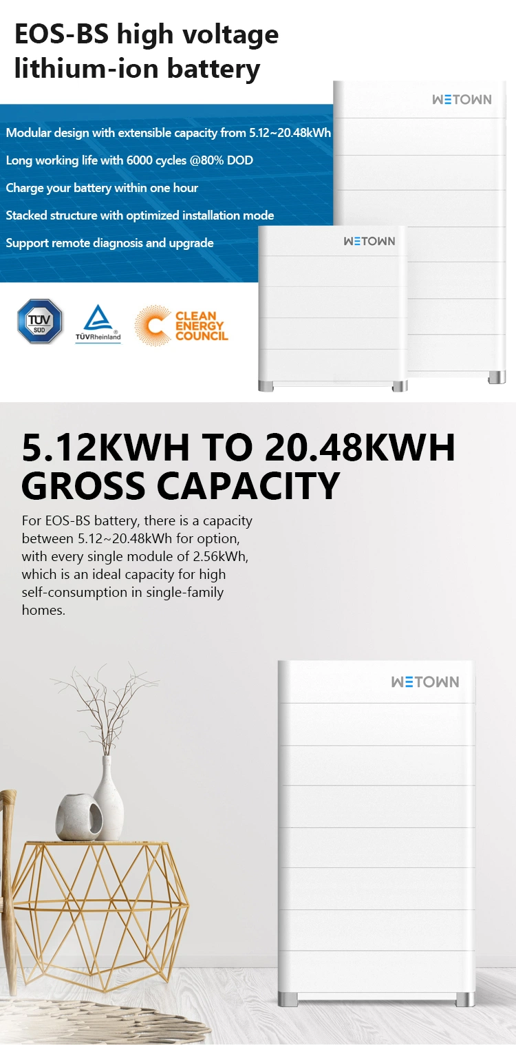 High Voltage Lithium Battery Pack Made in Wetown EOS-BS Serious Can Fully Charge The Battery in One Hour