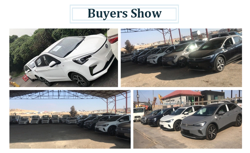 Ridever Trade 2021 Saic Rising Auto Er6 520km 4 Doors 5 Seats Sedan Nedc 520 Km New Cars Electric Vihicle Sedan Used Vehicles Second Hand Cars Auto