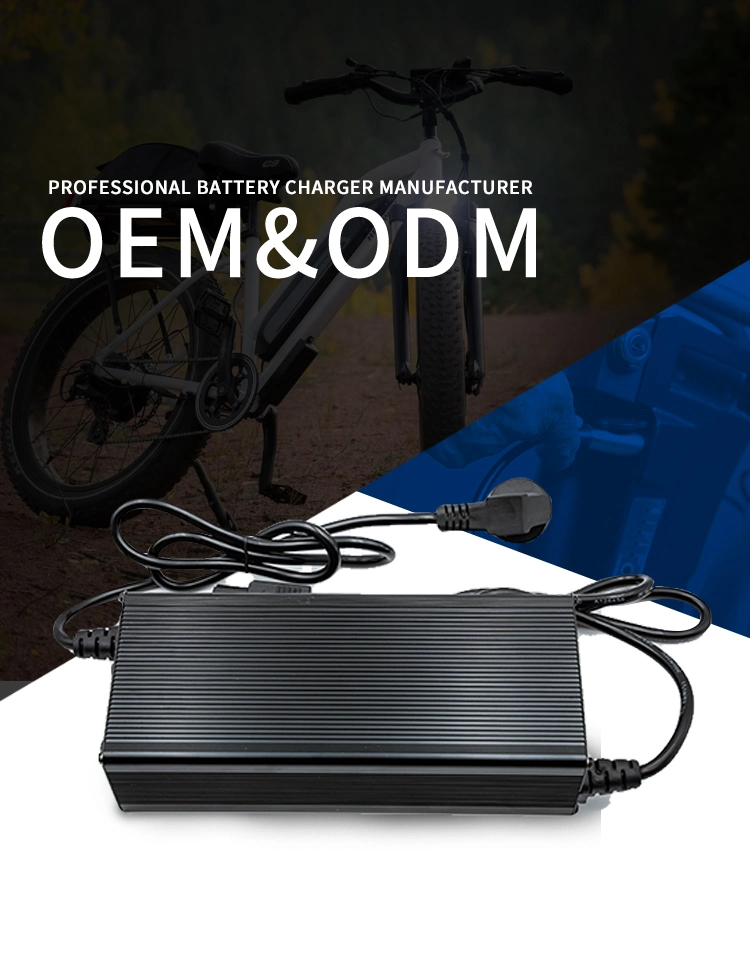 Factory Direct Sale 60V 5A Onboard Chargers Fast Lithium Battery Charger for Scooter and Bicycle