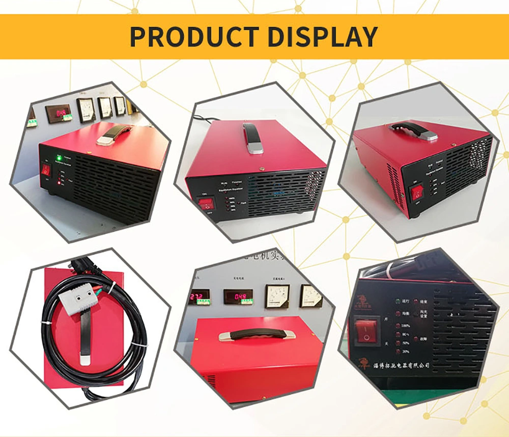 Lead Acid Lithium Ion Battery Charger
