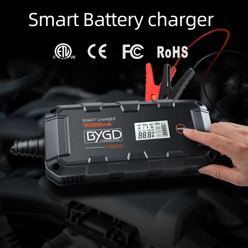 RoHS Approved 12-Volt Durable High Satisfaction Famous Brand Fast Delivery Multiple Repurchase Battery Charger