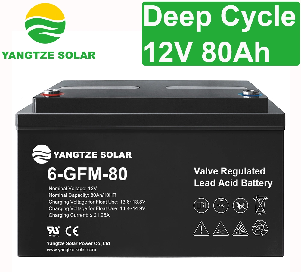 3 Years Warranty Yangtze 12V 80ah Deep Cycle Battery Charger
