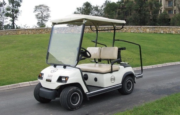Cheap 2 Person Electric Golf Buggy Long Durability Little Noise Buggy for Sale