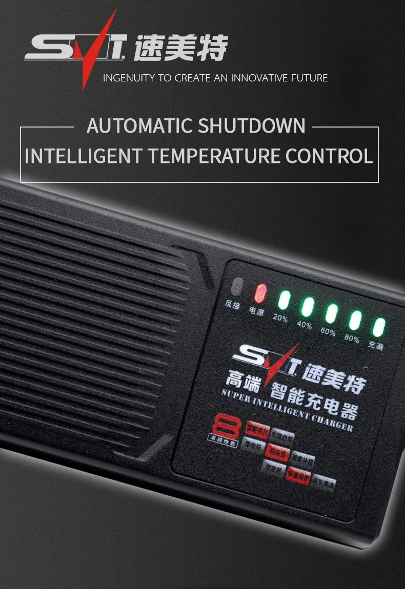 Automatic Shutdown Mode 48V12ah Lead Acid Battery Charger