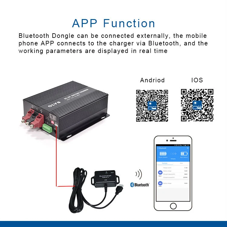 12V DC-DC B2b Smart Vehicle Battery Charger