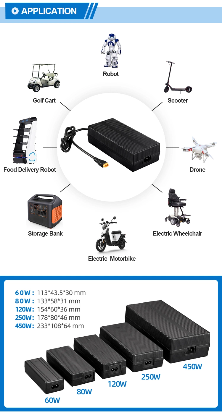 Universal Electric Pallet Truck Golf Cart Drone AC 220V DC 14.6V 10A LiFePO4 Automatic Battery Charger