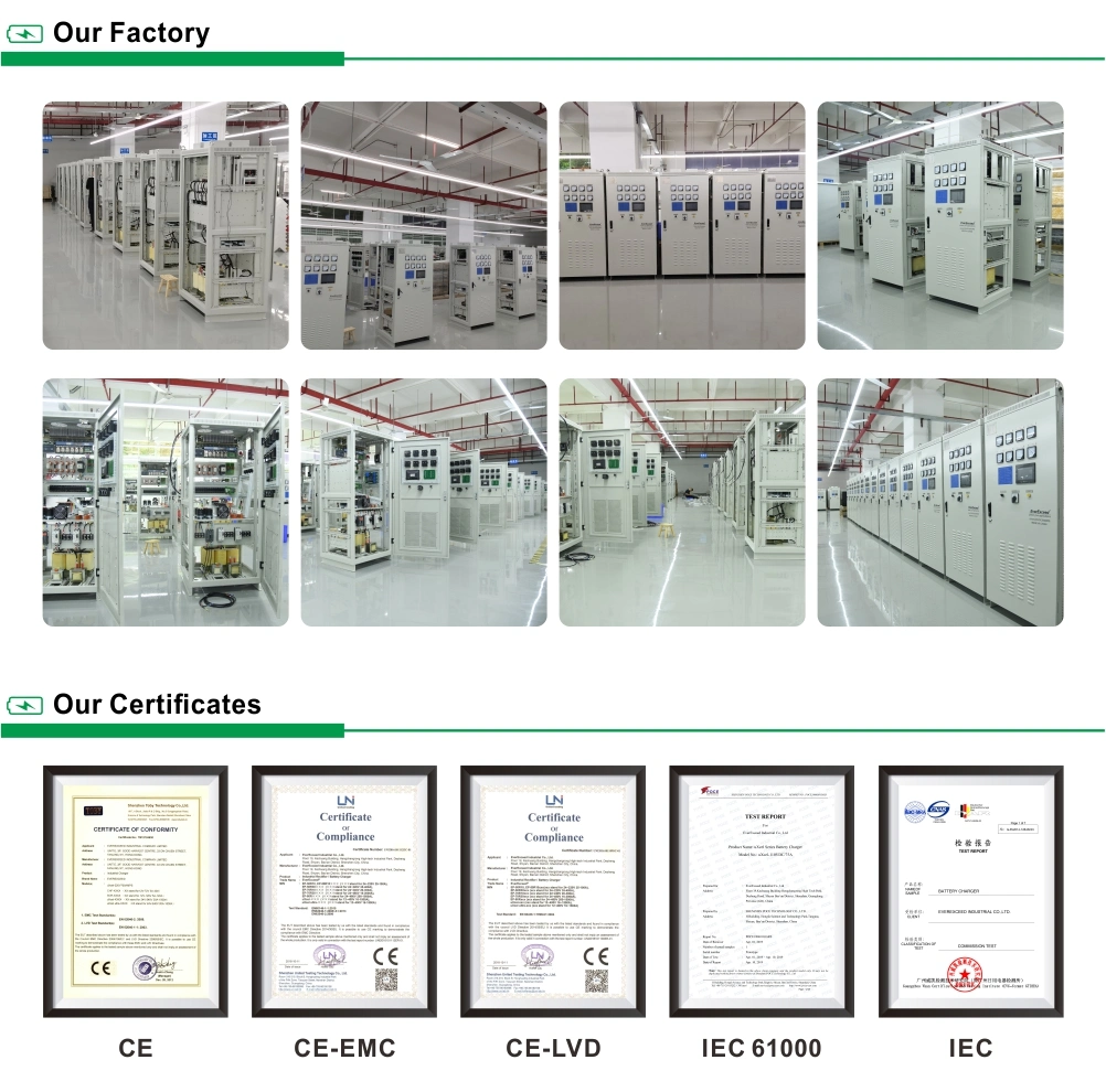 Lead Acid/NiCd/ Lithium Everexceed Phase Controlled Rectifier Battery Charger with RoHS