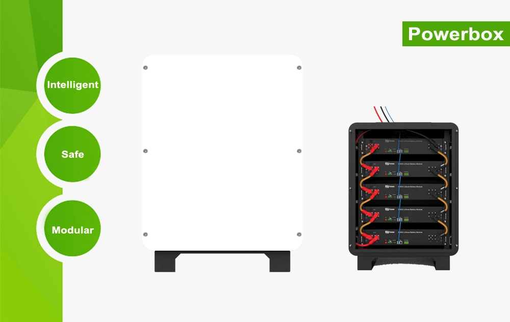 48 Volt Lithium Battery DC to DC Battery Charger 12 Lithium Volt 25.2V Lithium Ion Battery