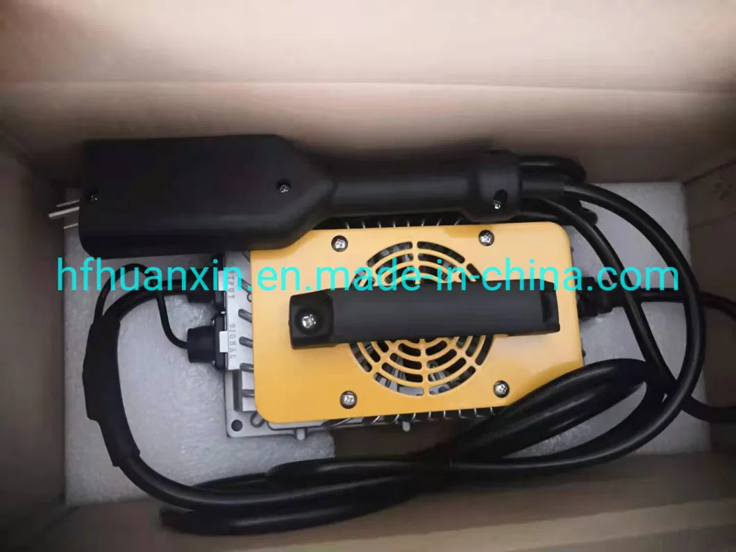 Chinese Battery Charger Lion on Board Battery Charger 24V 36V 15A 20A