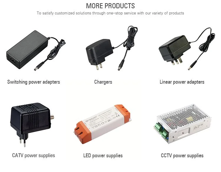 China OEM 12V/18V/19V/24V/45W/65W/90W/100W/125W/200W Lithium Battery Laptop Charger with Ce/UL/TUV/RoHS