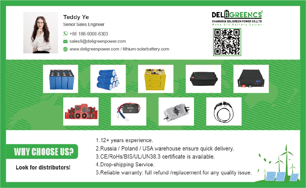 3.3kw 6.6kw Deligreen Charger 72V96V120V144V164V288V Lipo, Life, Limn Lead Acid Battery Chargers for Electric Car Forklift Bus