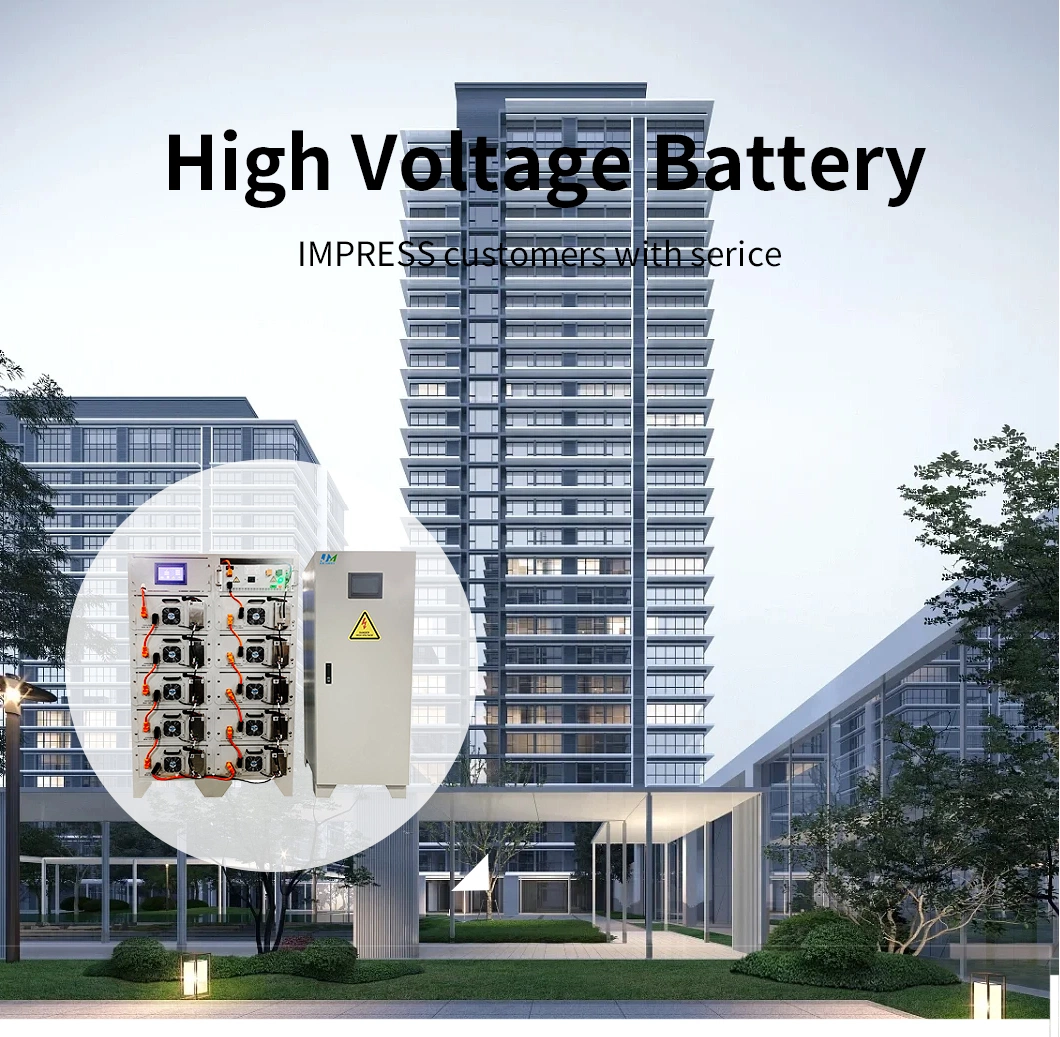 High Voltage Rack Mounted Catl LiFePO4 Battery Cell Solar Home Energy Storage Lithium Li Ion Battery Storage Battery Charger