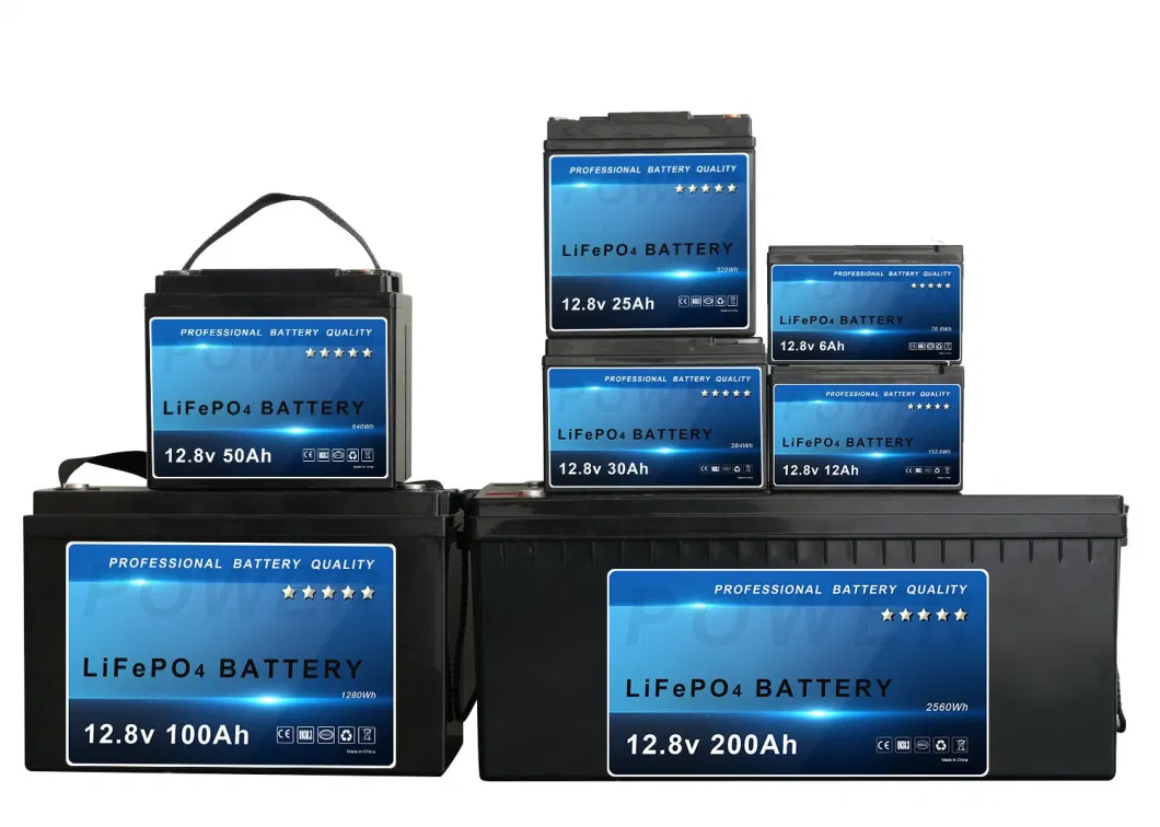 12V/24V/36V/48V 50ah 100ah 150ah 200ah LiFePO4 Lithium Ion Battery for Solar System