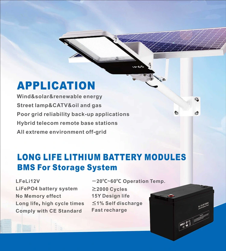 Deep Cycle Lithium Battery 200ah 12V 24V Lead-Acid Replacement Battery for Camping Car and UPS or Solar