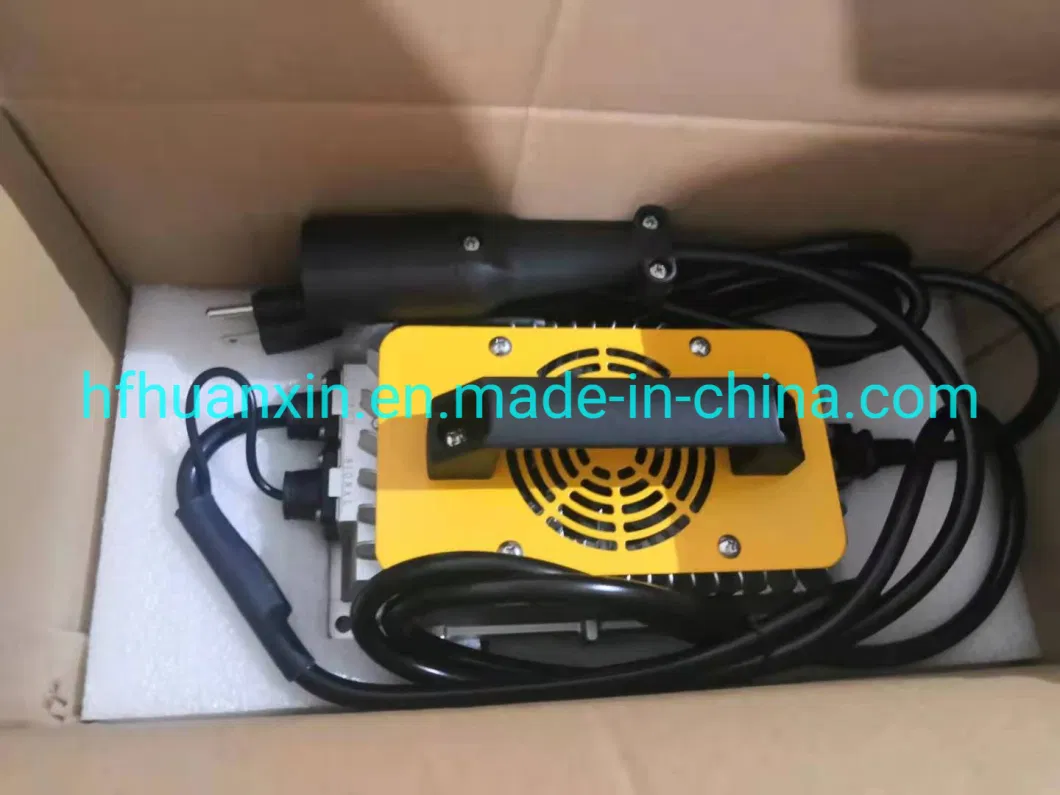 Chinese Battery Charger Lion on Board Battery Charger 24V 36V 15A 20A