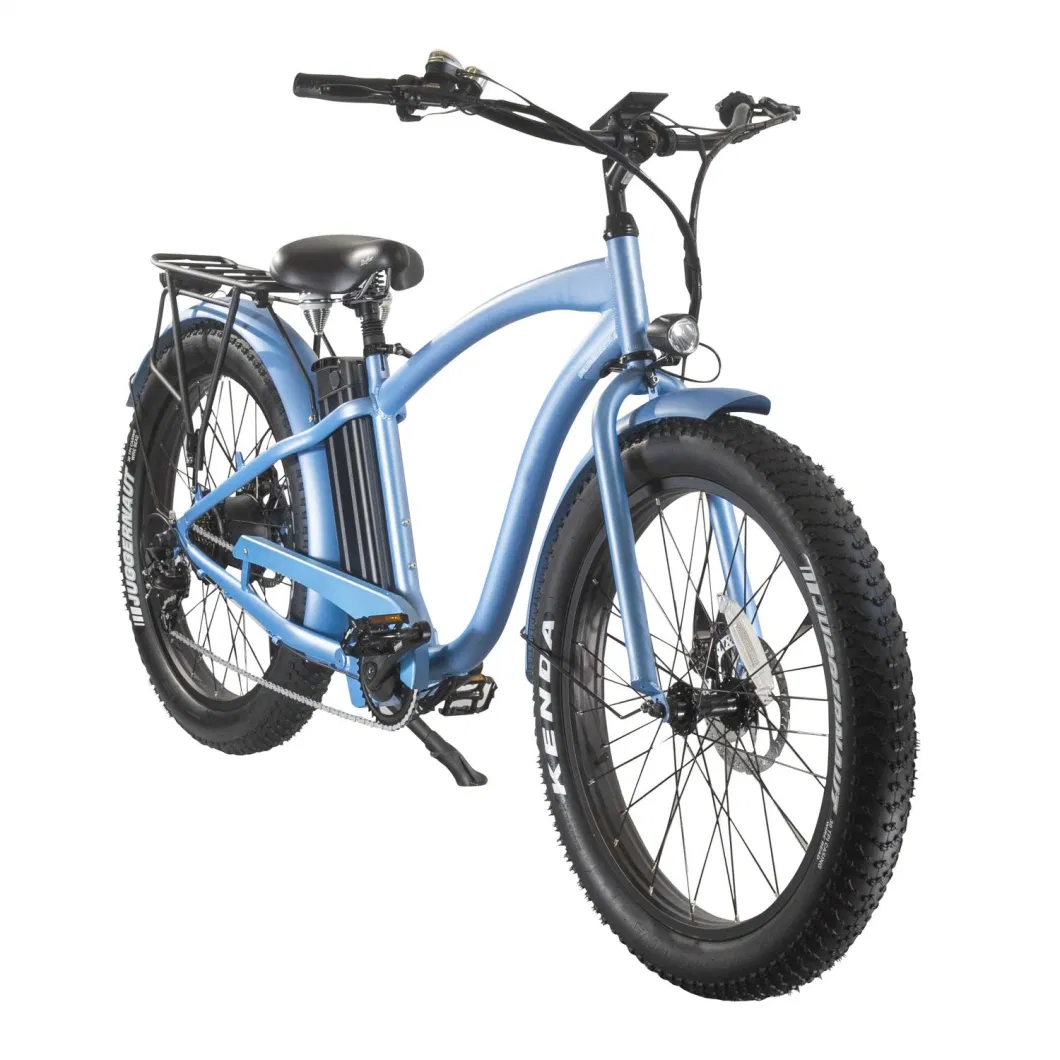 Hot Sale Fat Tire Electric Bicycle 500W Mountain Bike for Sport Tour