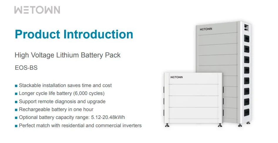 High Voltage Lithium Battery Pack Made in Wetown EOS-BS Serious Can Fully Charge The Battery in One Hour