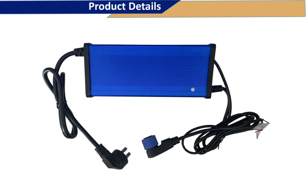 Factory Price Intelligent Lithium Ion LiFePO4 Battery Charger for E-Bike 48V 60V 72V 10A