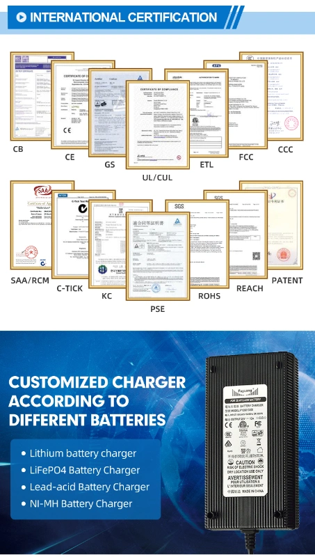 Solar System Forklift 18650 21.6V E-Bike Chargers 6s Lithium Li-ion Batteries Class II 15A 25.2V Iron Polymer Battery Charger