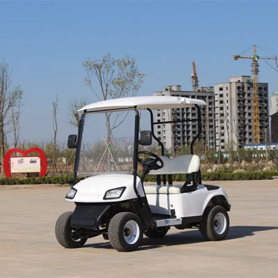 Cargador de batería 36V 48V 60V 72V 20A 25A 30A resistente al agua Club Car y Golf Cart con asientos al aire libre