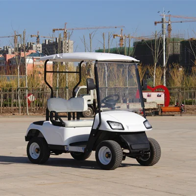 Cargador de batería 36V 48V 60V 72V 20A 25A 30A resistente al agua Club Car y Golf Cart con asientos al aire libre