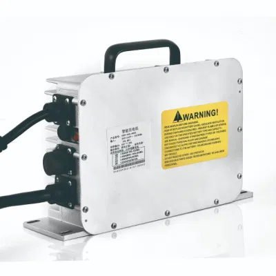 El grado a 12V 20un cargador de batería de ion de litio 4s Lithium-Iron LFP Cargador de baterías de ciclo profundo para Trax camión, motocicleta de baja velocidad