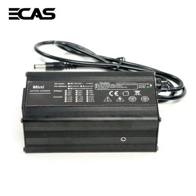 36-45V 10 un cargador de batería de litio para el Banco Industrial/Palet/carretilla/camión/transportista