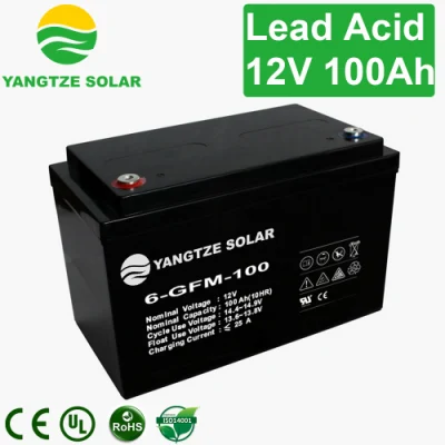  Yangtze 12V 100Ah 18.650 Cargador de Baterías