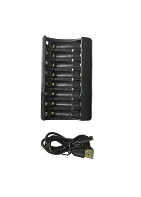 Batterie Charger L. 2V NiMH 1,5V AA NiCd de iones de litio cargador de batería AA AAA