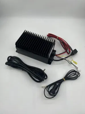  IP67 Cargador de a bordo 700W24V25A para elevación de plataforma de acceso de tijera Y cargador de baterías para palas cargadoras eléctricas Cargador de entrega para coche
