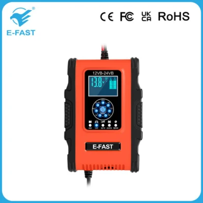 Automático 12V12A 24V6a Cargador de batería para vehículo eléctrico batería Smart Car Cargador