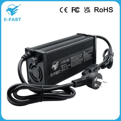 Cargador de batería de ion-litio 12V 24V 36V 72V 84V 48V Cargador de batería de scooter eléctrico eBike LiFePO4 personalizado