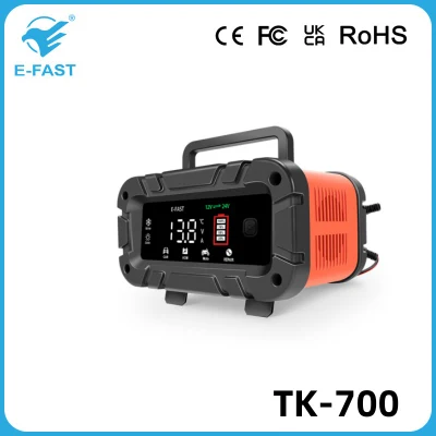  12V10A 24V5a Cargador de motocicleta de coche Tipo de reparación universal batería estándar Cargador